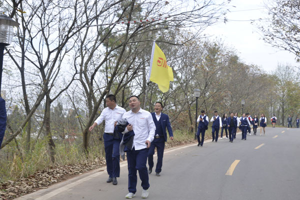 陽光行、快樂游